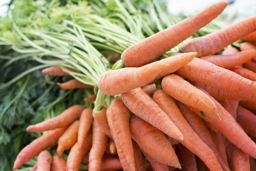 Image: Wild0ne, Carrot produce grocery, Pixabay, Pixabay Licence