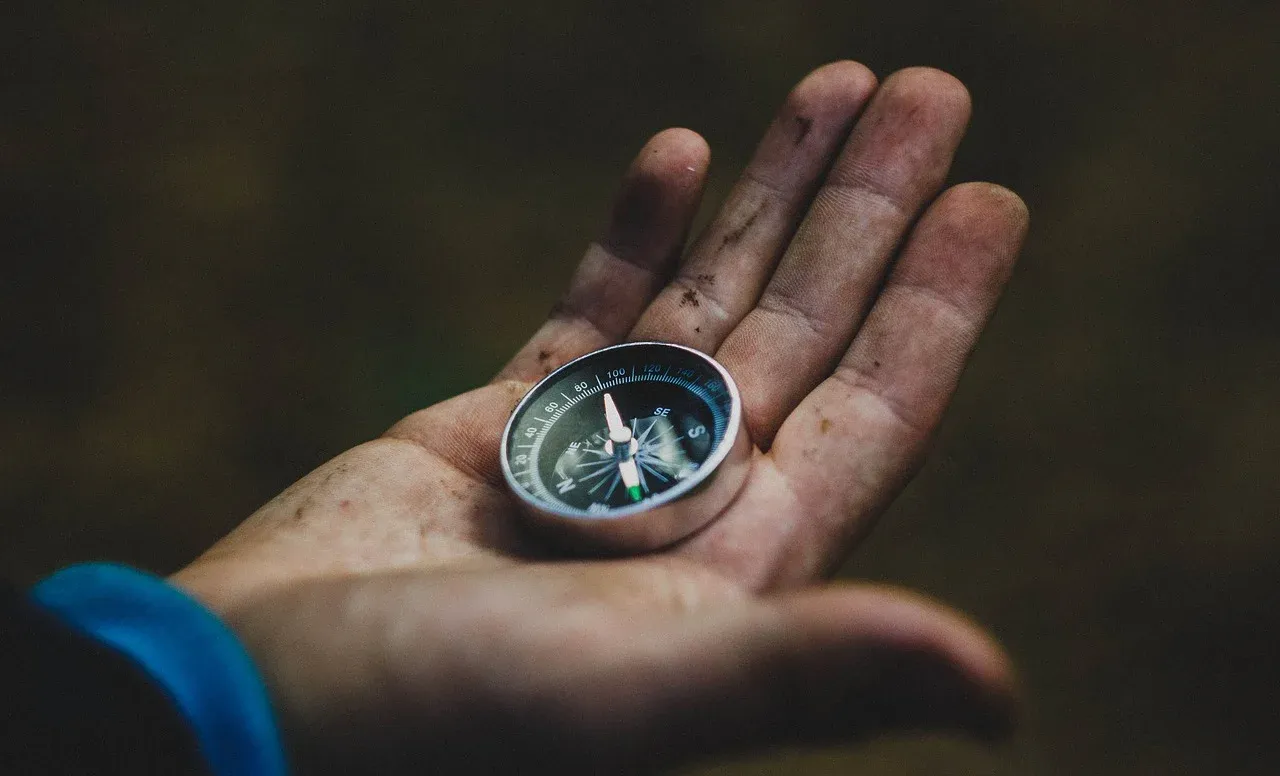 Image: dima_goroziya, Compass hand travel, Pixabay, Pixabay Licence