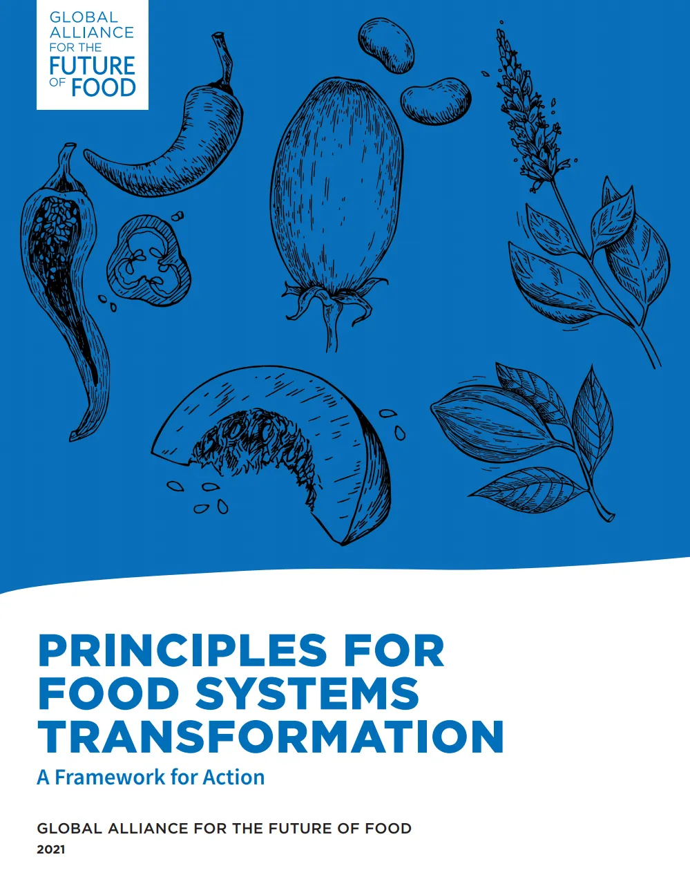 Principles and framework for food systems transformation