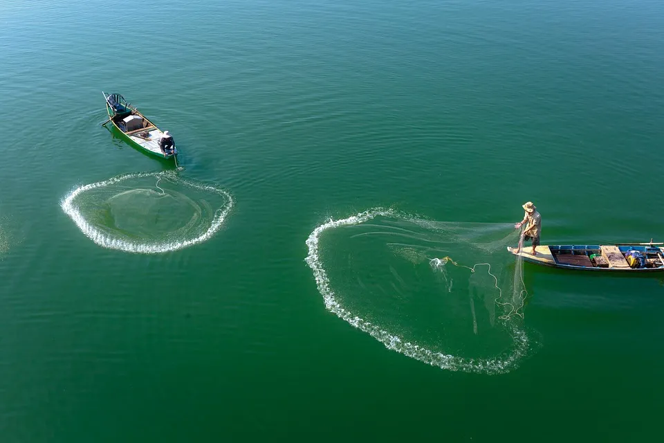 Image: Quangpraha, Outdoor fish fishing, Pixabay, Pixabay Licence