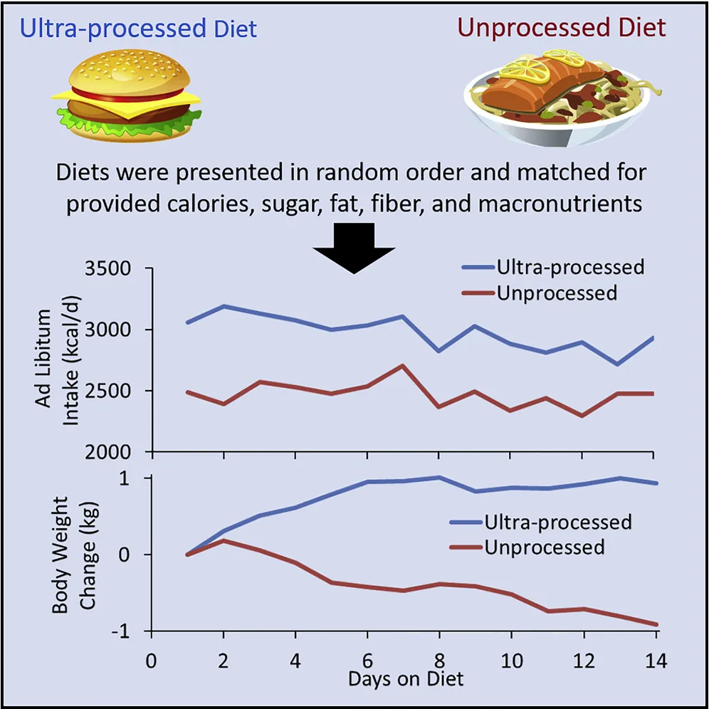 hall et al abstract