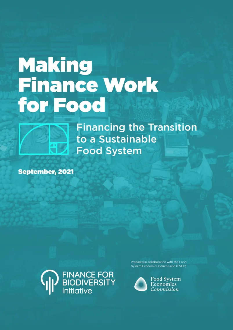 Making finance work for food