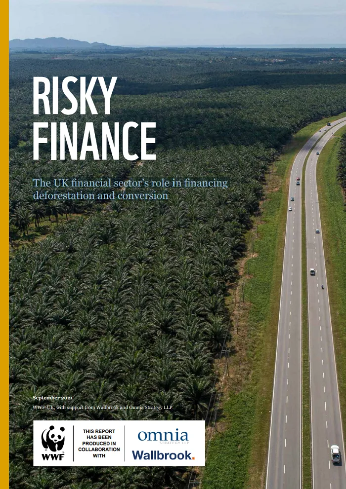 Risky Finance