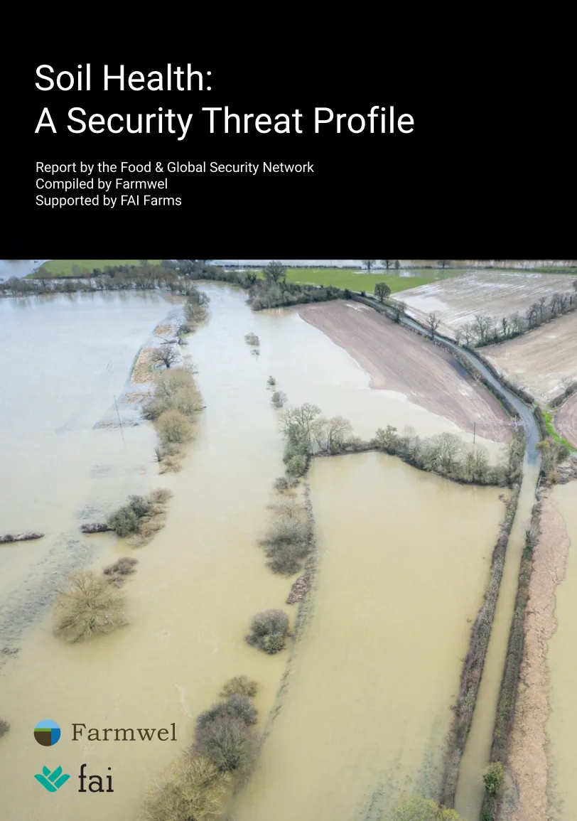Soil health: a security threat profile