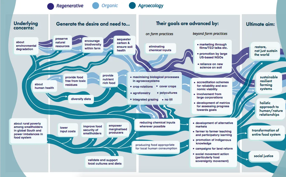 Ebbs and flows diagram