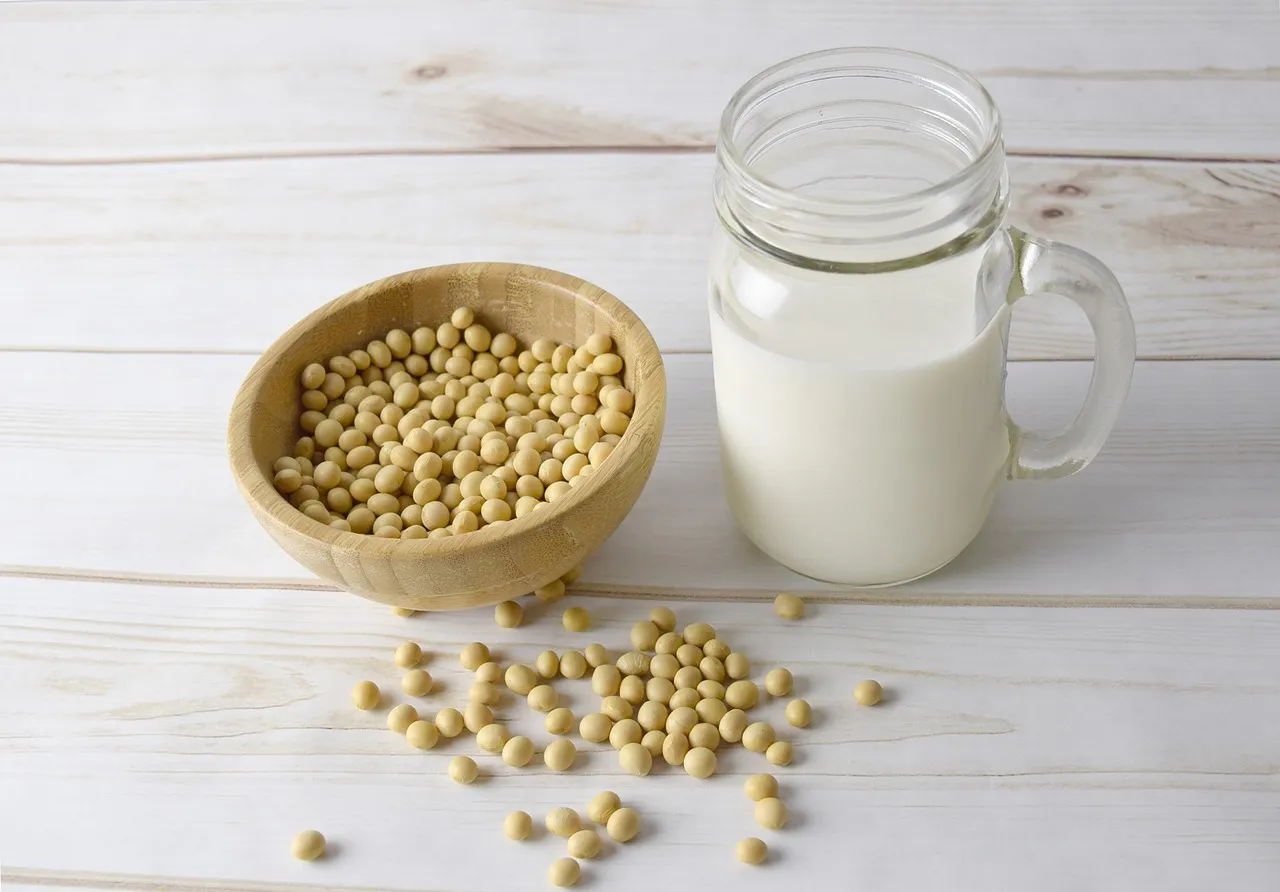 Image: bigfatcat, Soy milk soybean, Pixabay, Pixabay Licence