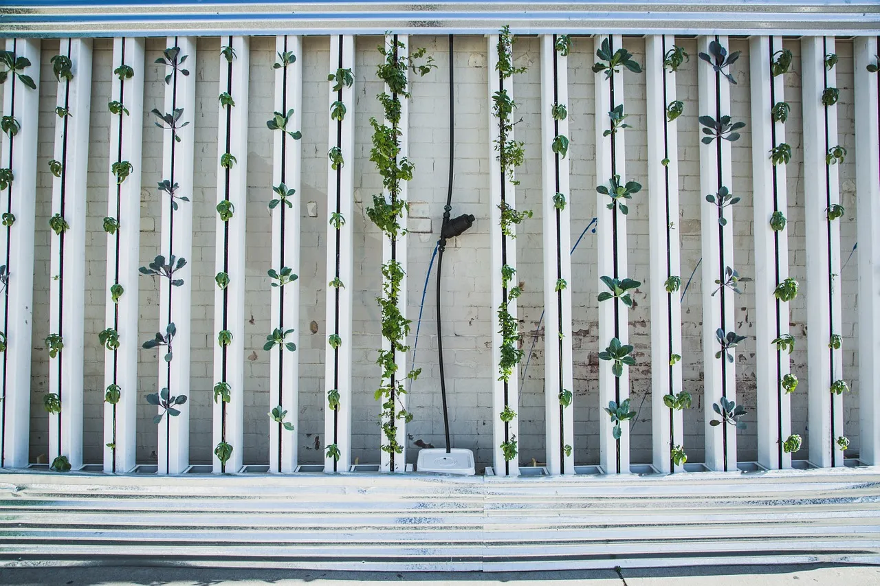 Image: BrightAgrotech, Hydroponics green wall, Pixabay, Pixabay Licence