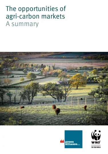 The opportunities of agri-carbon markets