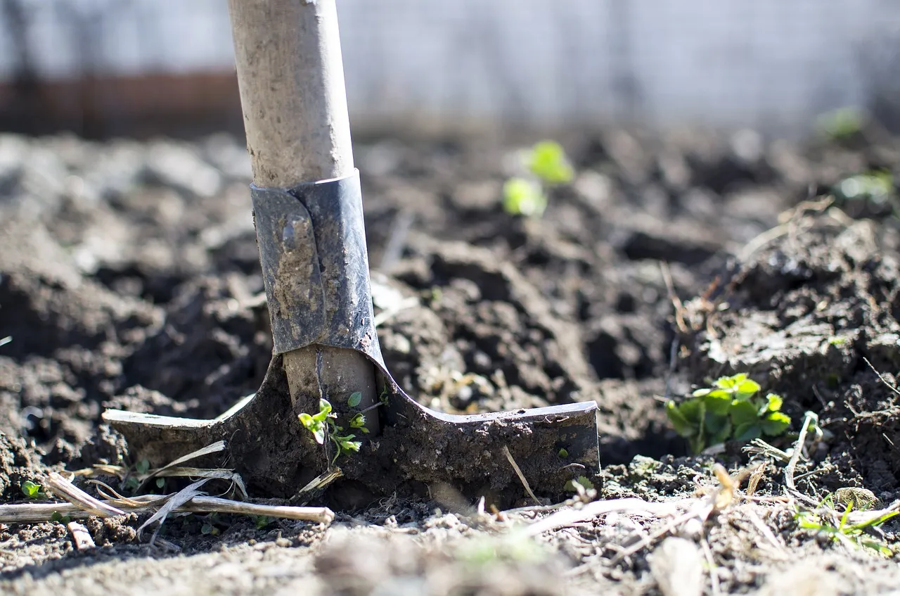 Image: Goumbik, Equipment outdoors dirt, Pixabay, Pixabay Licence
