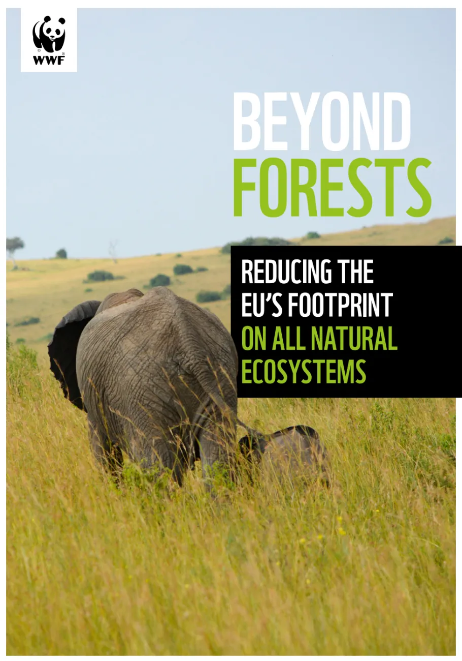 report cover