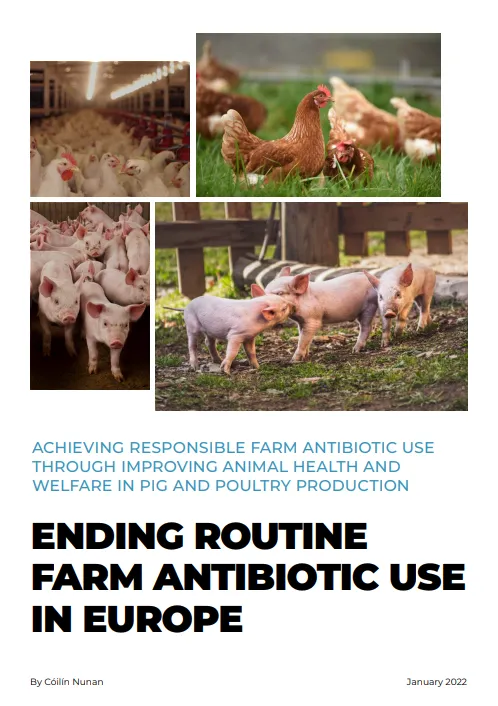 Ending routine farm antibiotic use in Europe
