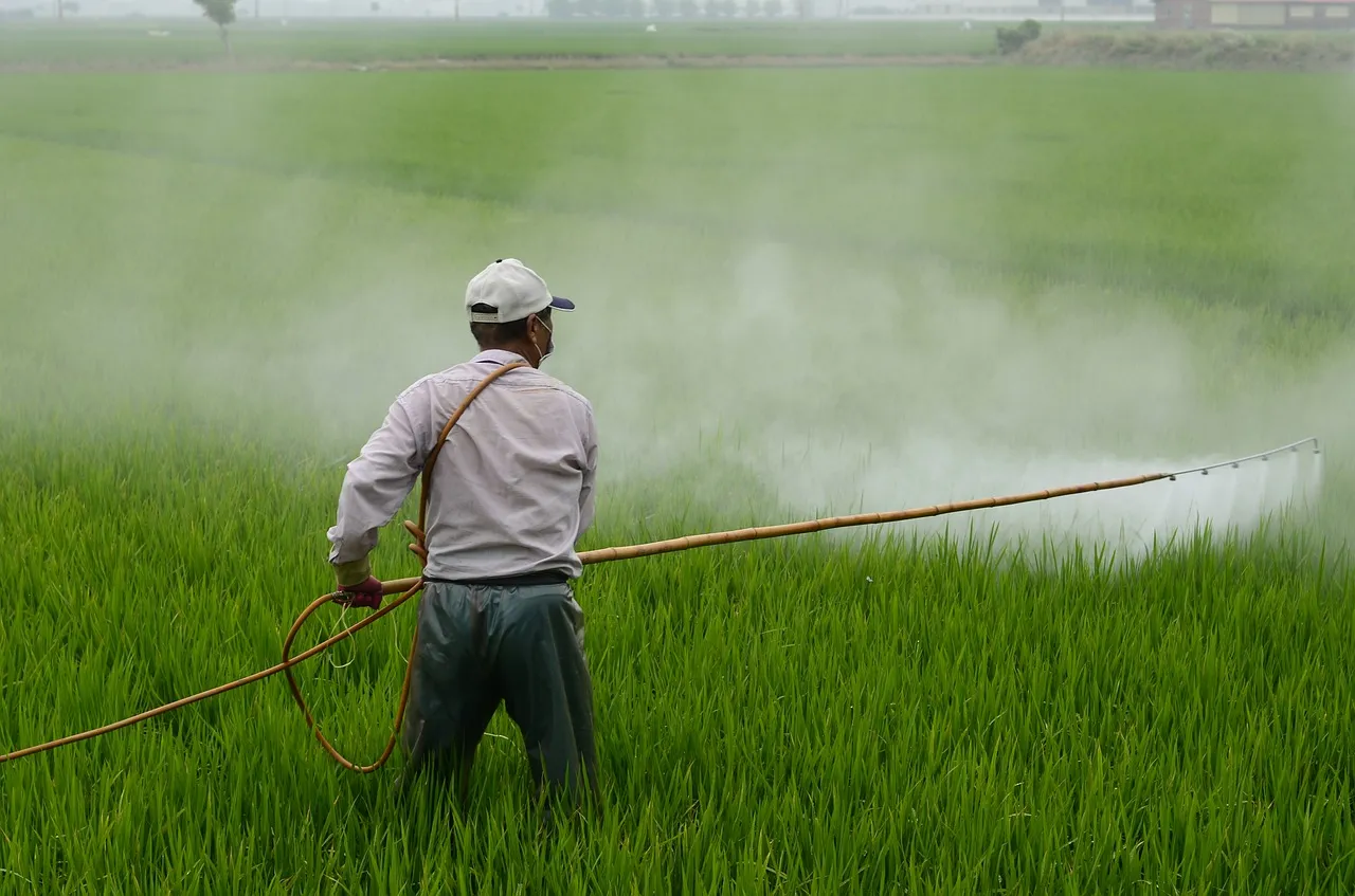 Image: wuzefe, Herbicide farmer in rice field, Pixabay, Pixabay Licence