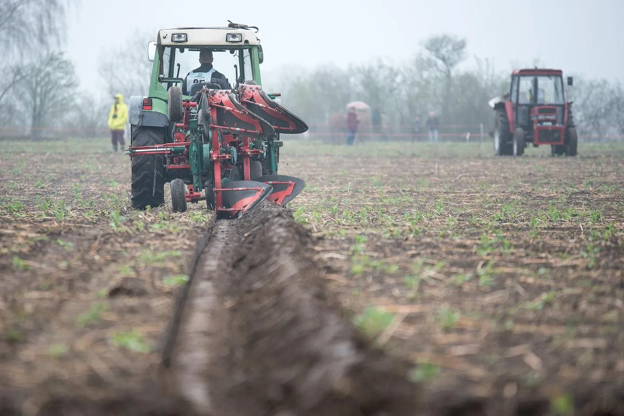 Image: Ehrecke, Plough plow agriculture, Pixabay, Pixabay Licence