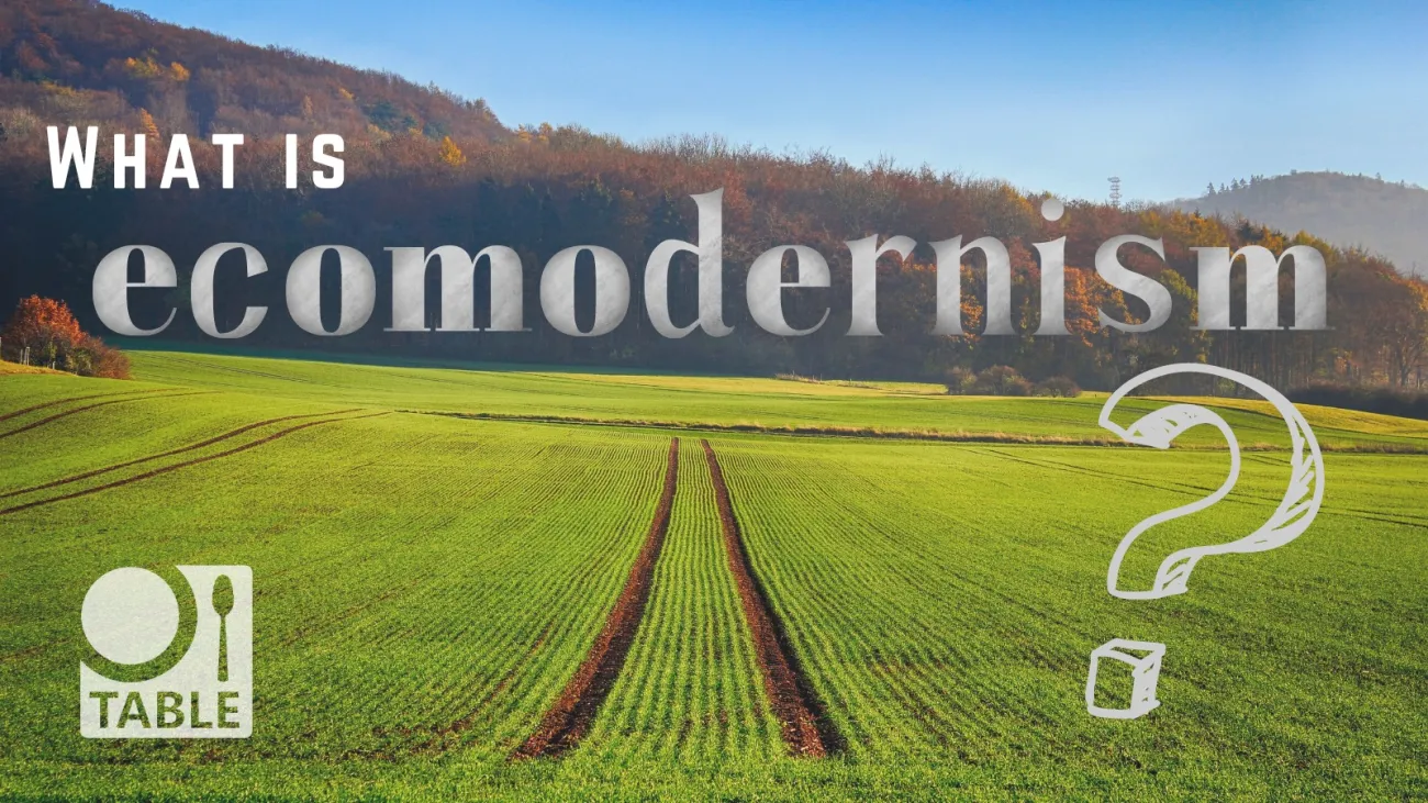 A field with tractor tracks through the middle extends into the distance, with a forest in the distance. The text asks "What is ecomodernism?"