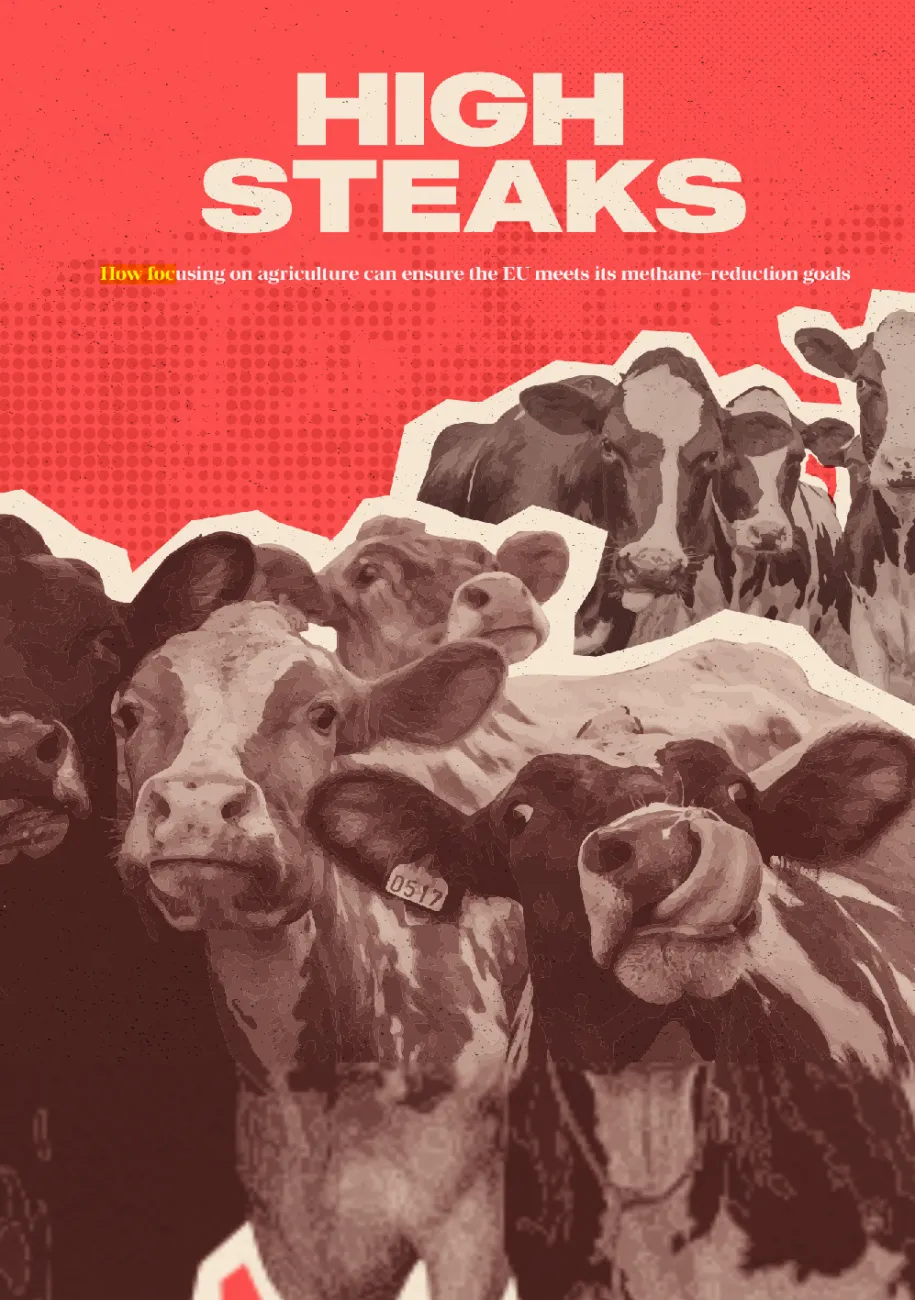 High Steaks: Reducing agricultural methane in the EU