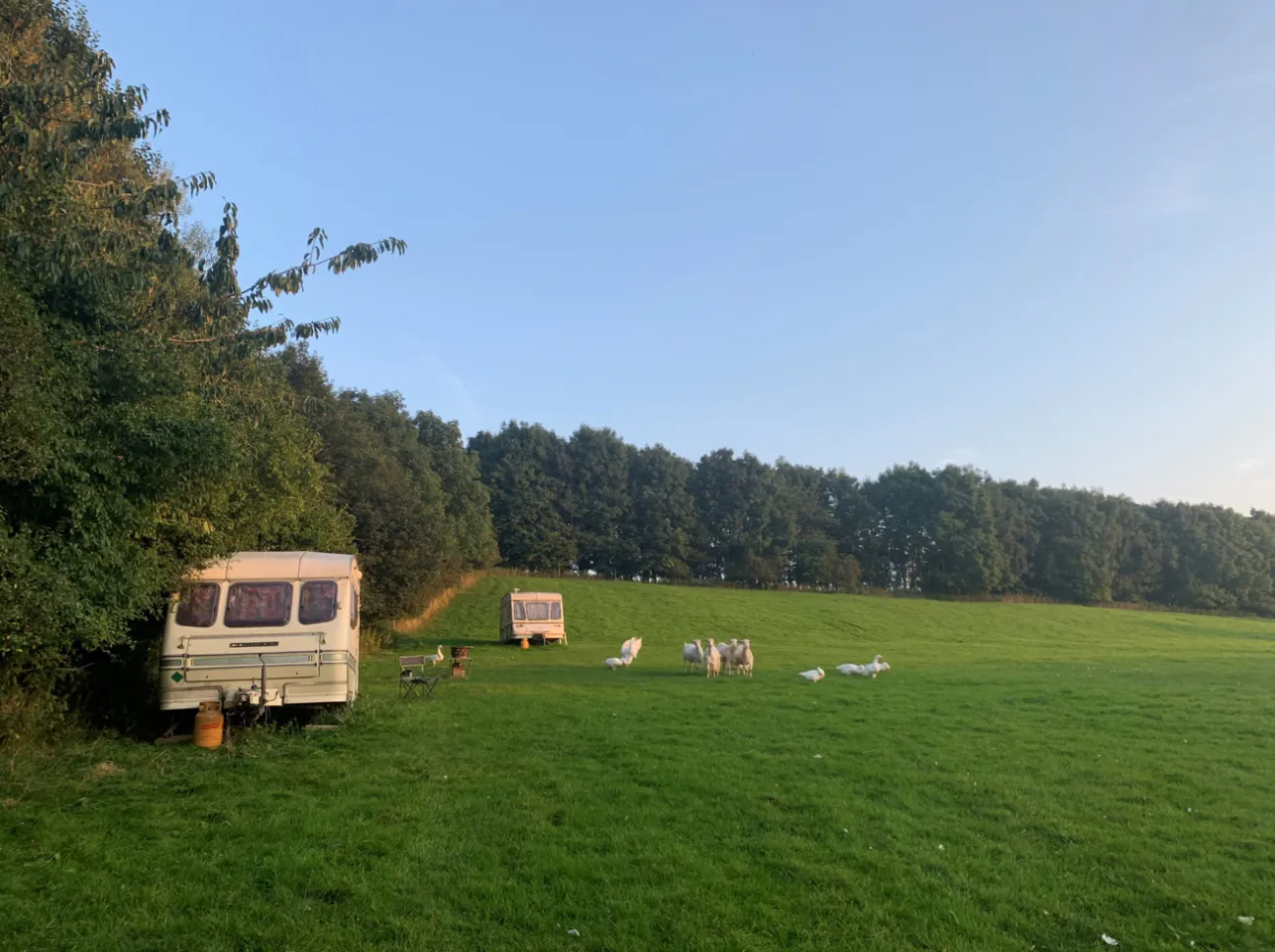 My home and company for 10 days. Image credit: Viola King Forbes.