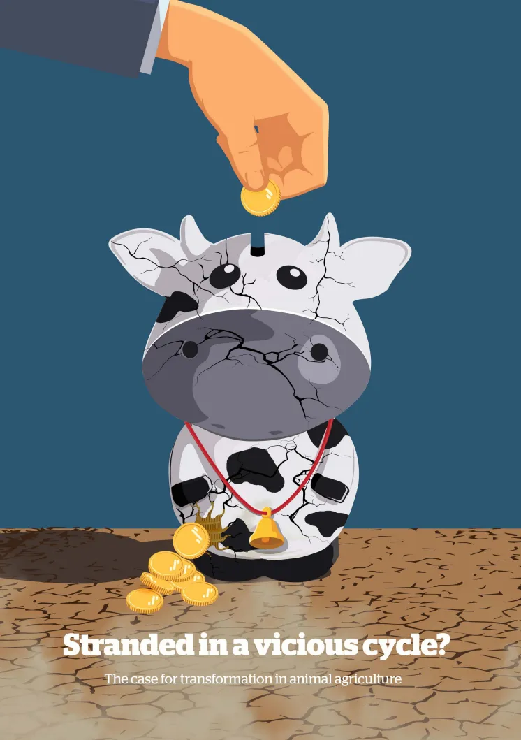 Stranded in a vicious cycle? The case for transformation in animal agriculture