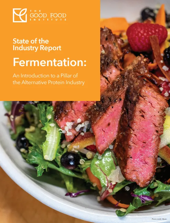Fermentation in the alternative protein industry