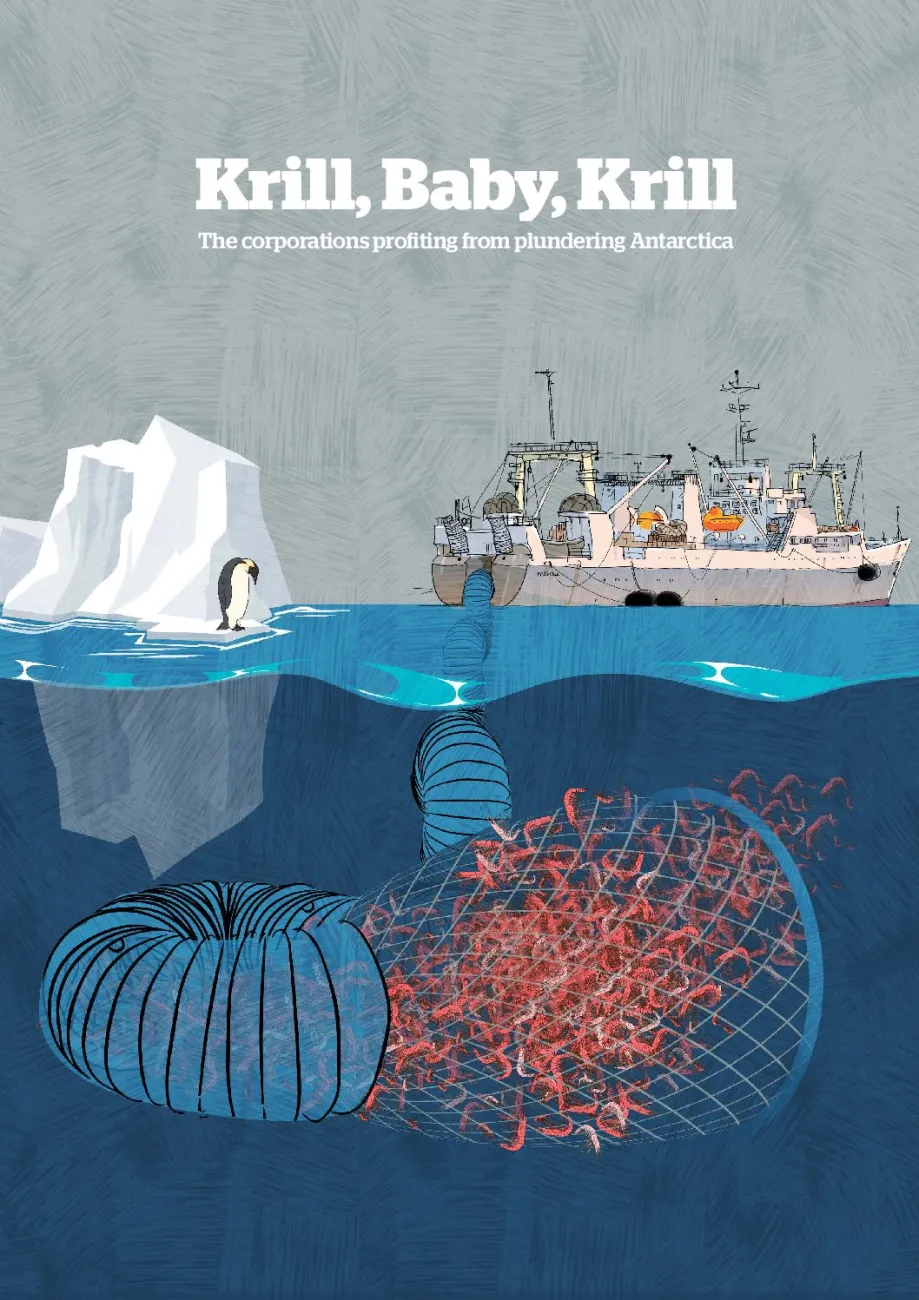 Krill, Baby, Krill – The corporations profiting from plundering Antarctica