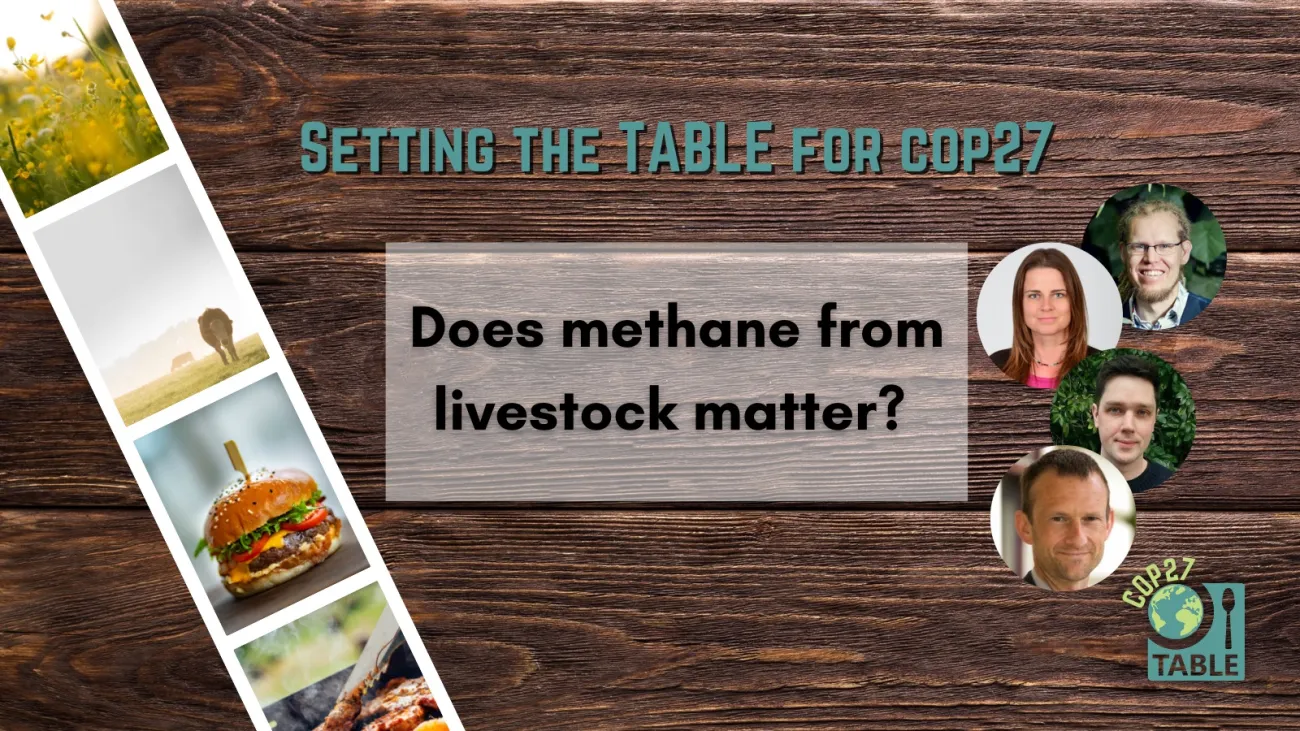 A flyer advertising the "Setting the Table for COP27" series and the event “Does methane from livestock matter?“ There is a photo strip of agricultural landscapes laying on a wooden table and the TABLE logo in the corner and photos of Martin Persson, Claudia Arndt, John Lynch, and Andy Reisinger.