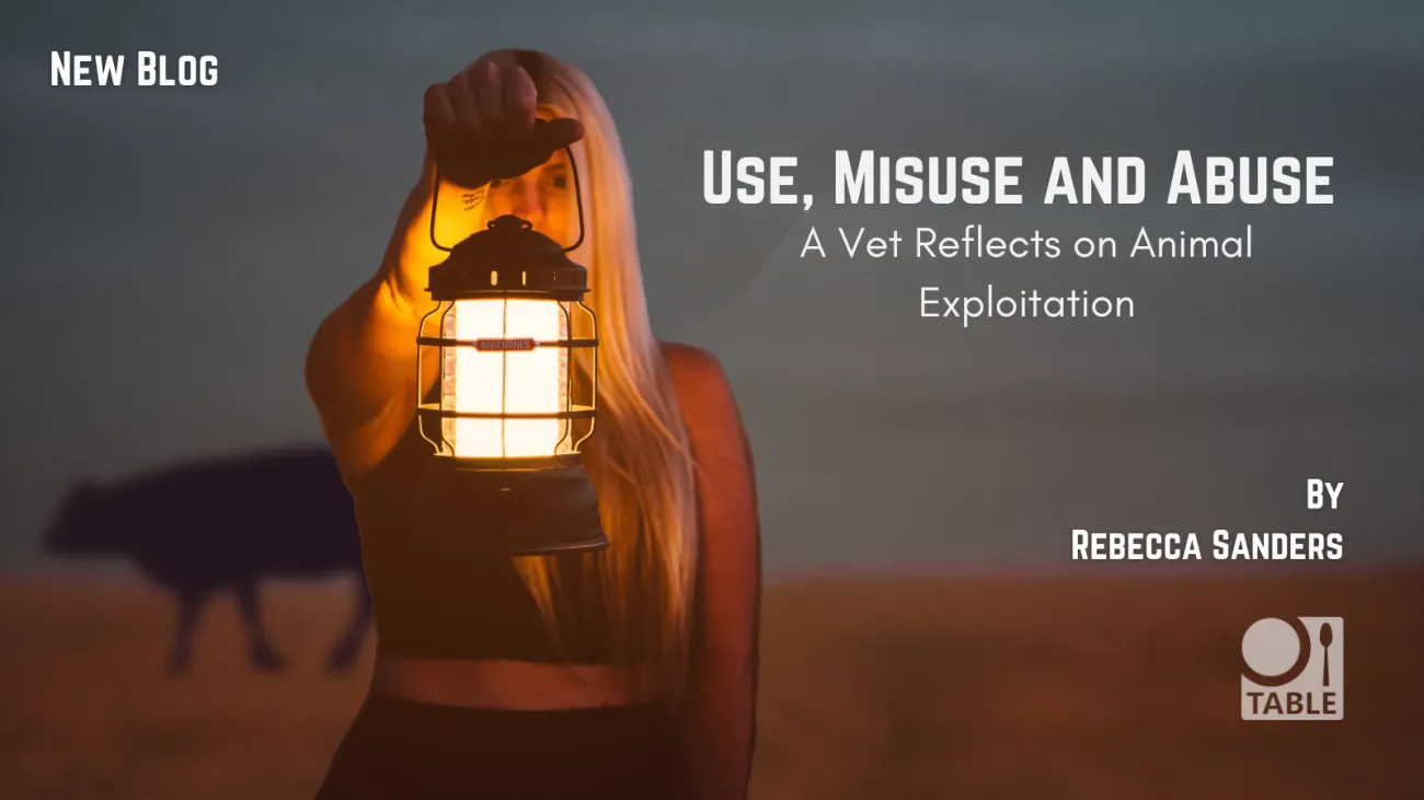 New blog: Use, Misuse and Abuse - a vet reflects on animal exploitation - by Rebecca Sanders