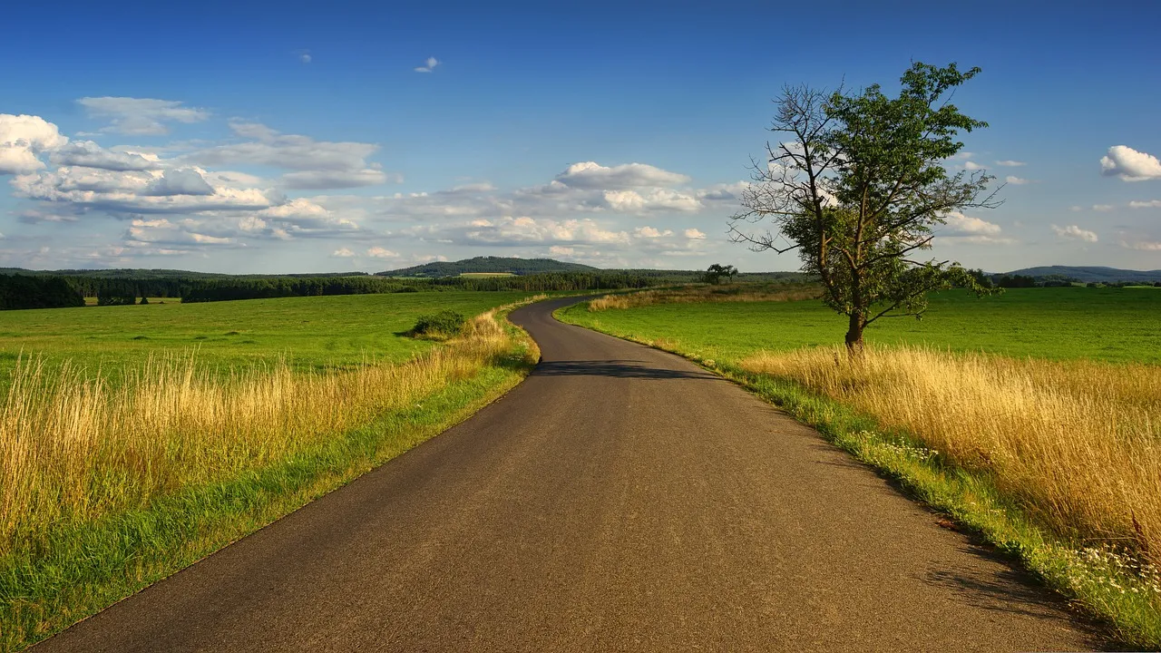 Image: jplenio, Landscape nature grass, Pixabay, Pixabay Licence