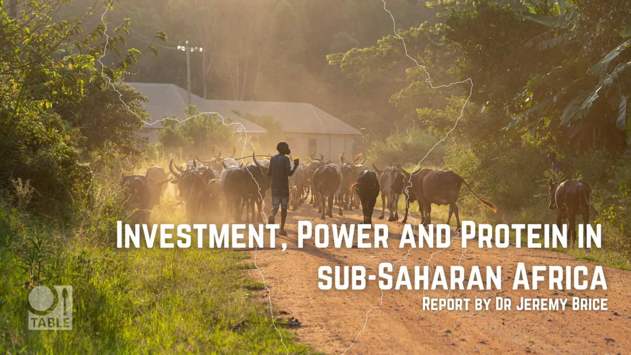 Investment power and protein report cover image - herding cattle 