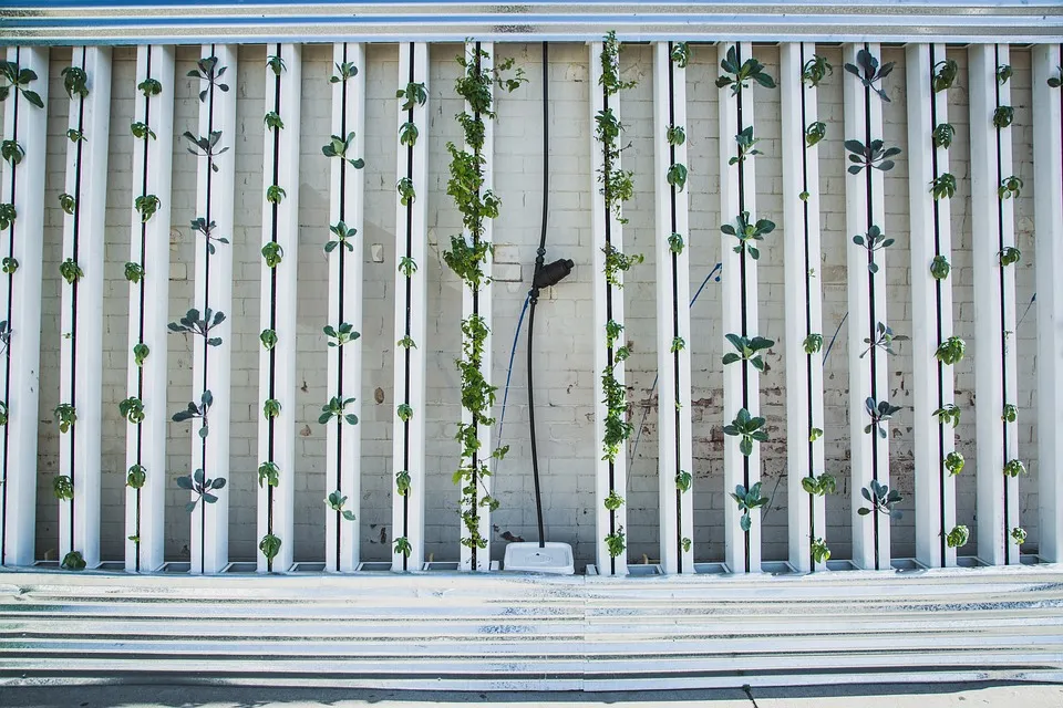 Image: BrightAgrotech, Hydroponics Green Wall, Pixabay, Pixabay Licence