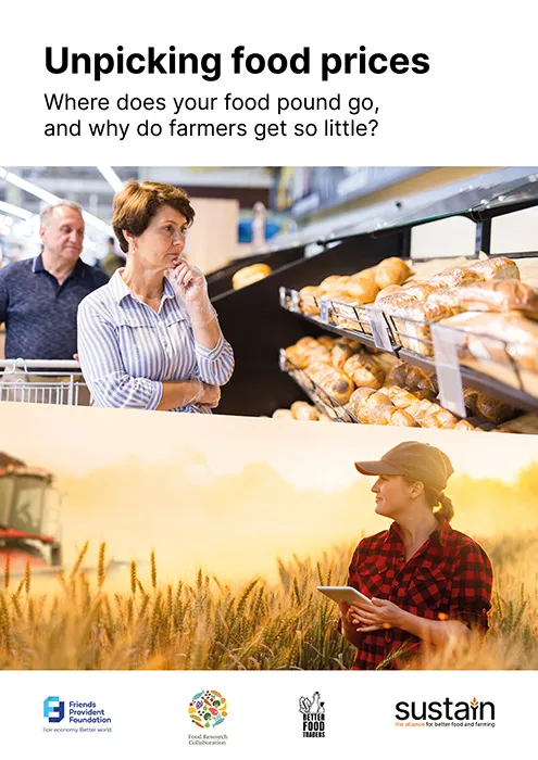 Unpicking food prices