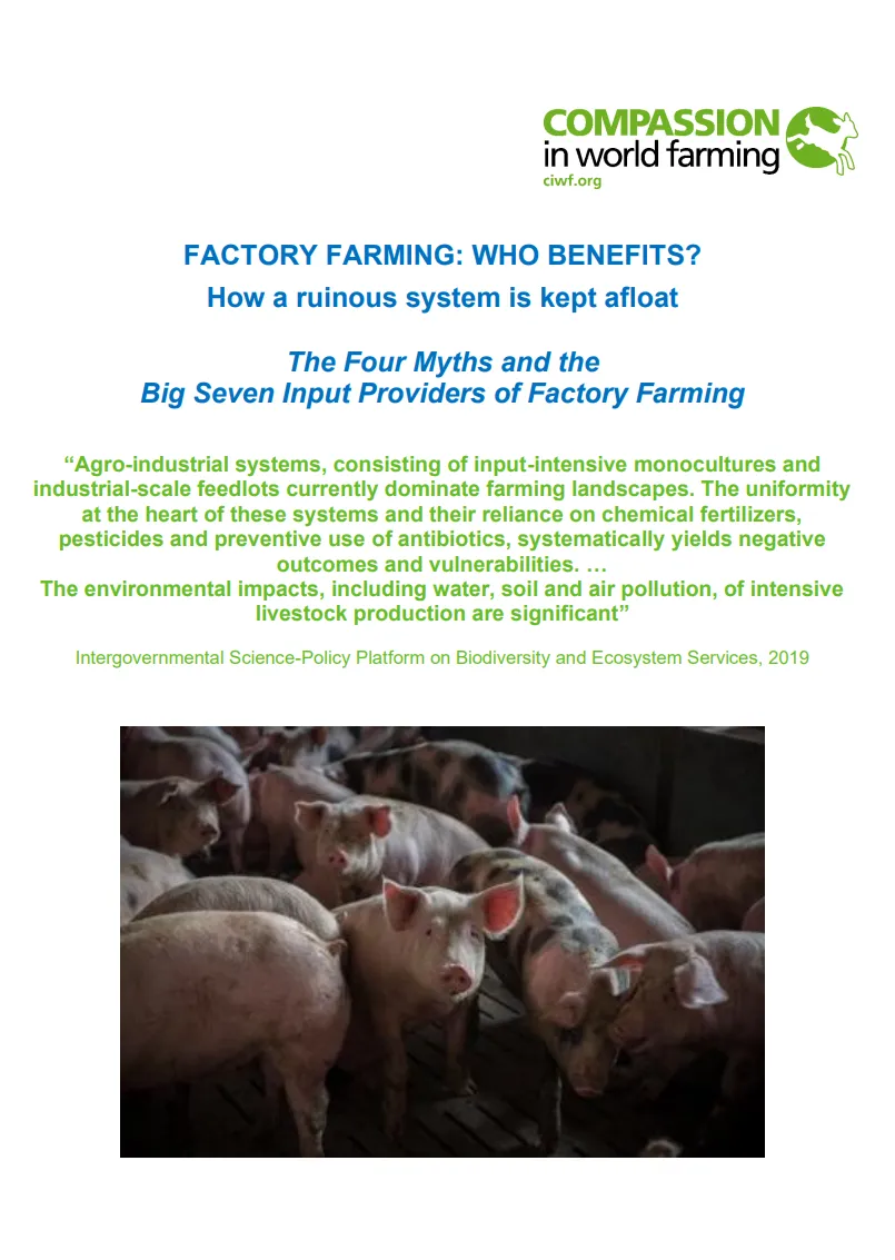 Factory Farming: Who benefits? How a ruinous system is kept afloat