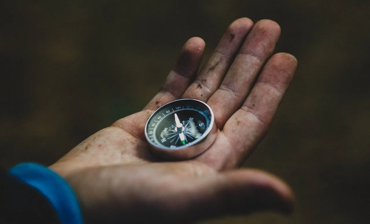 Image: dima_goroziya, Compass hand travel, Pixabay, Pixabay Licence