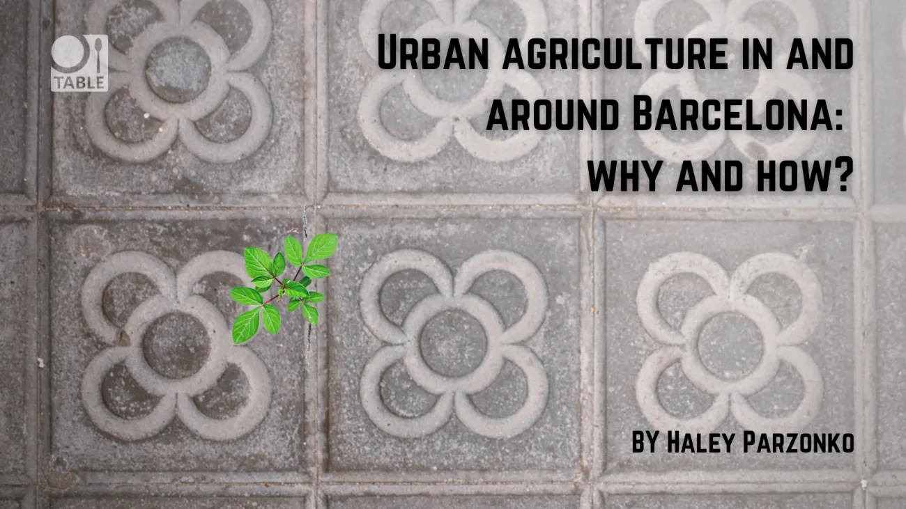 Urban agriculture in and around Barcelona: why and how? by Haley Parzonko