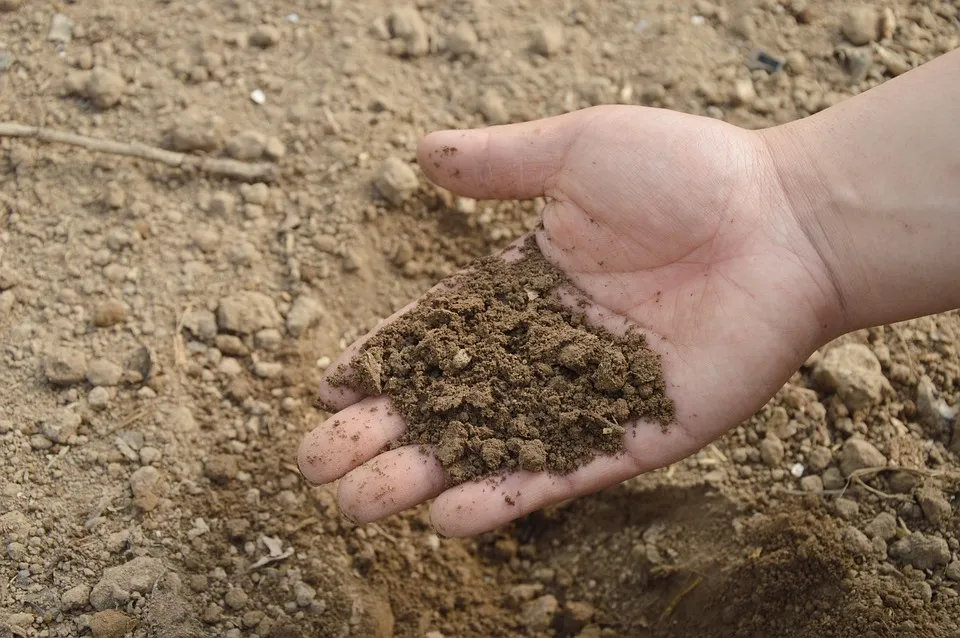 Image: Jing, Soil hand farm, Pixabay, Pixabay Licence