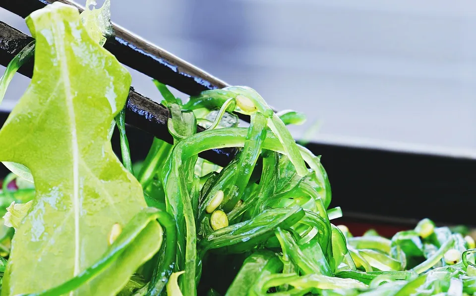 Image: NoName_13, Salad chuka wakame, Pixabay, Pixabay Licence