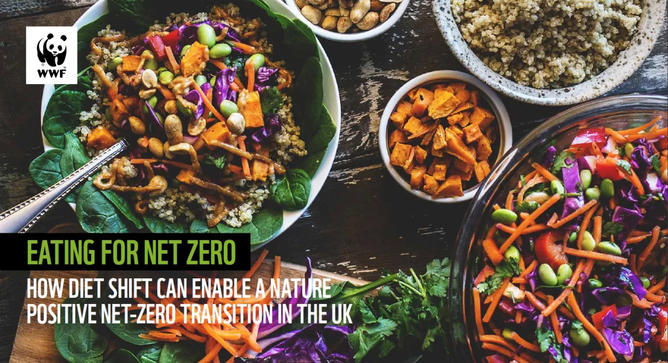 Cover for the report titled “Eating for Net Zero: How diet shift can enable a nature positive net-zero transition in the UK” published by WWF in 2023, featuring a background photo of several bowls of plant-based dishes on a wooden table.