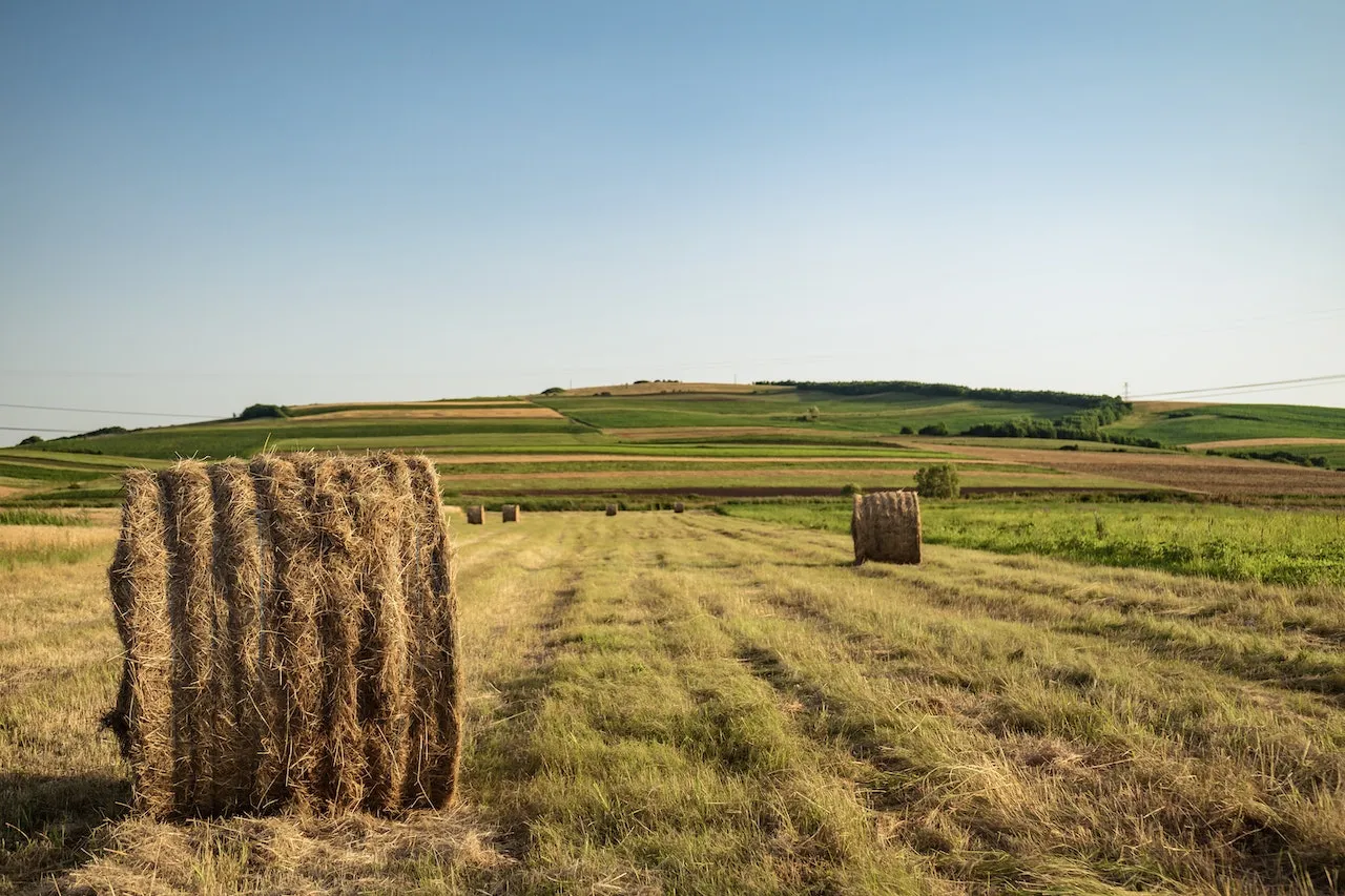 Rolls of hay sit on a field with agricultural landscape in the background. Photo by Vlad Chețan via Pexels.