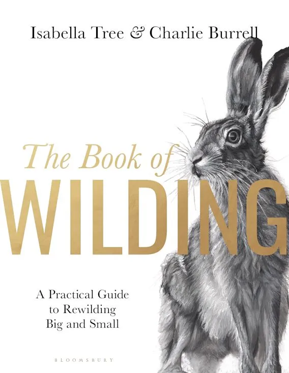 The cover of “The Book of Wilding: A practical guide to rewilding big and small” by Isabella Tree and Charlie Burrell.