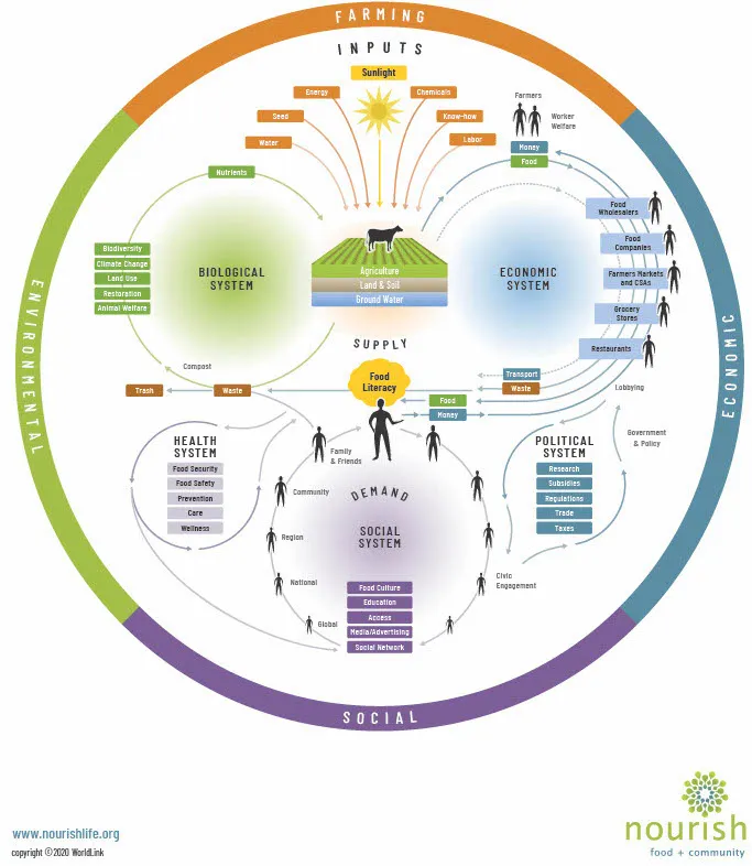 Map of all the interconnected systems that make up the wider food system including inputs, and biological, economic, political, social and health systems 