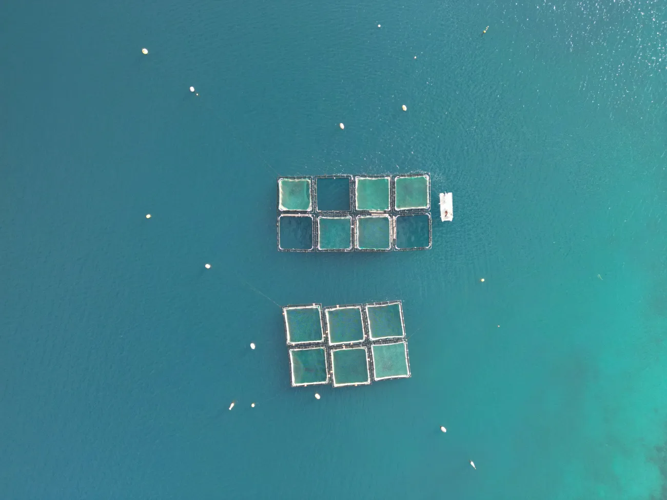 Aerial shot of fish farm. Photo by Deluca G via Pexels