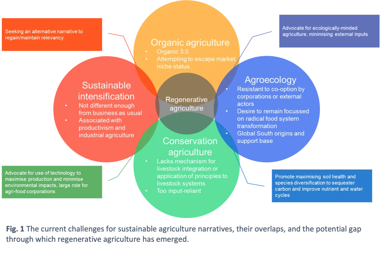 Fig. 1 The current challenges for sustainable agriculture narratives, their overlaps, and the potential gap through which regenerative agriculture has emerged.