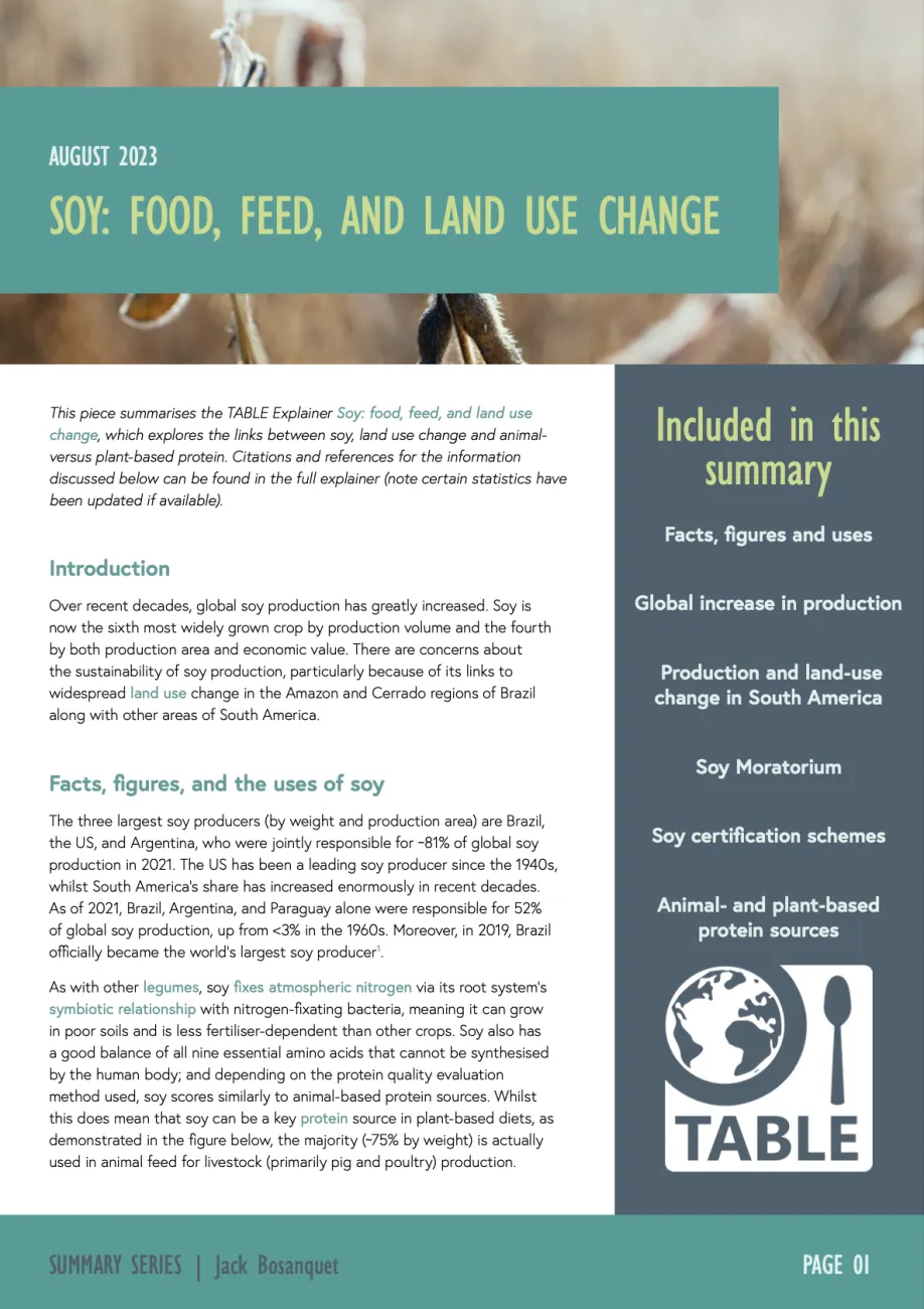 The first page of the soy explainer summary published by TABLE