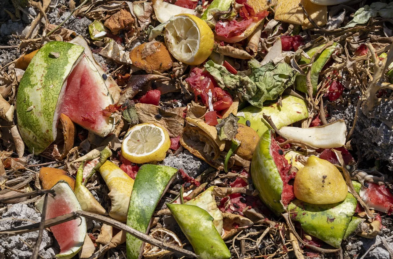 Pile of rotting fruit on ground. Photo by 11327359 via Pixabay.com