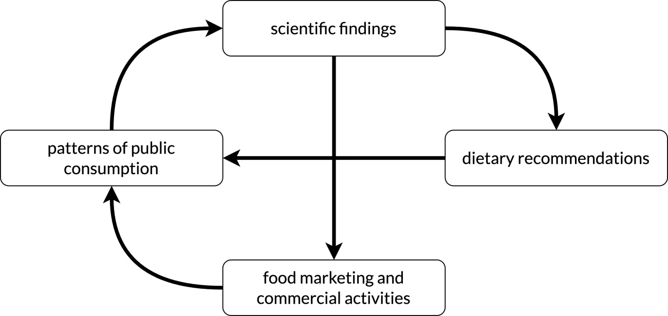 Figure 2. Feedback loop linking nutritional work on protein requirements to existing practice. Shows how food marketing and commercial activities, patterns of public consumption, scientific findings, and dietary recommendations interact in a series of feedback loops