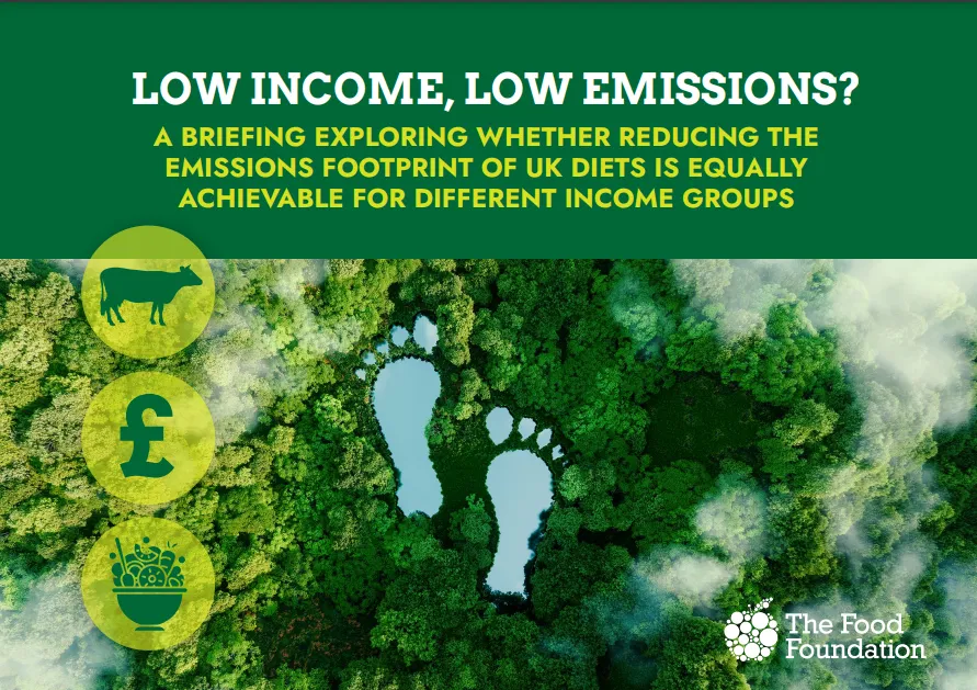 The cover of the Lower income, low emissions? report