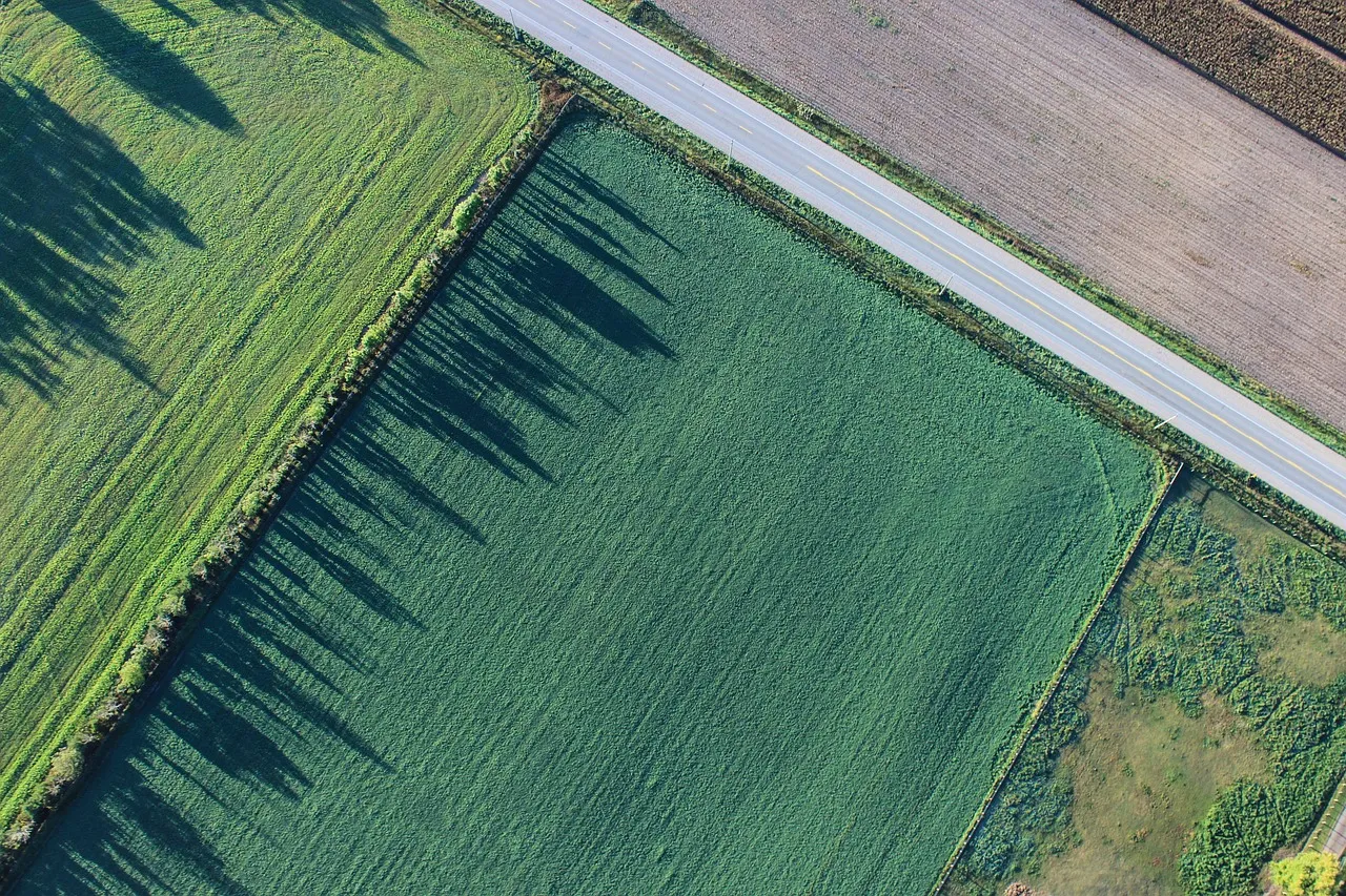 An aerial view of three rectangular agricultural fields along a road. Photo by Pexels via Pixabay.