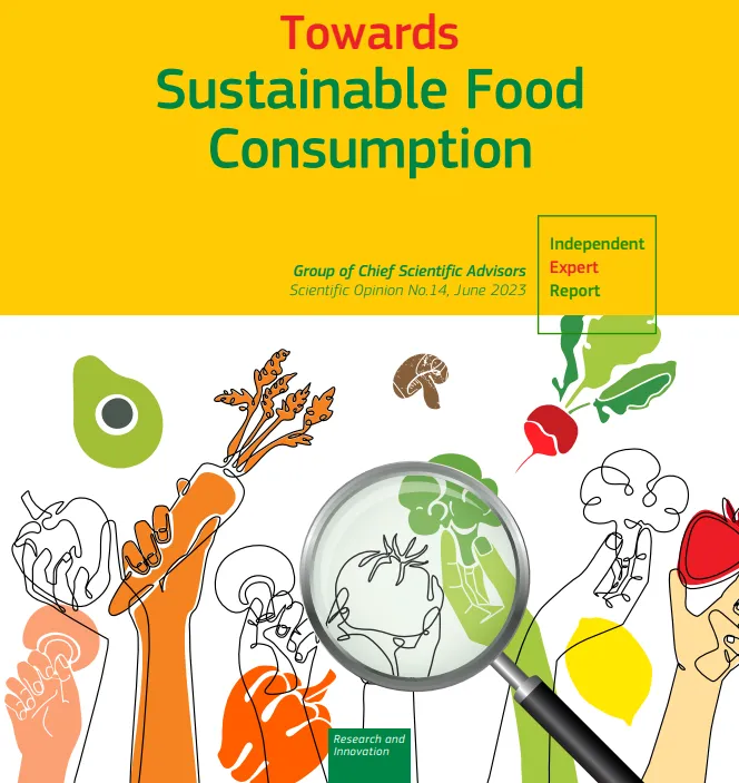 The cover of the European Commission report Towards sustainable food consumption with illustrations of hands holding various vegetables. 