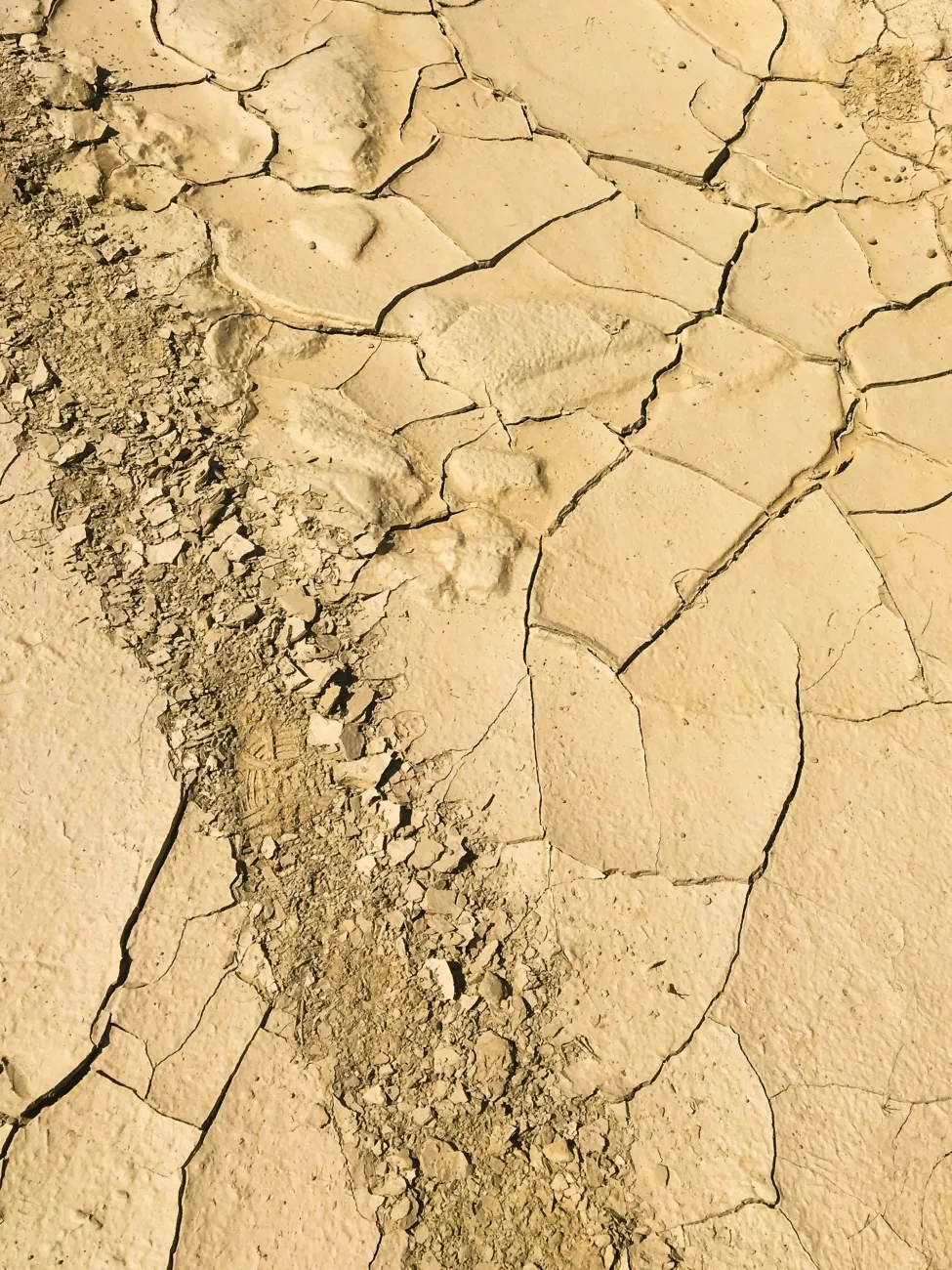  Dry cracked ground. Photo by Paul Robert via Unsplash