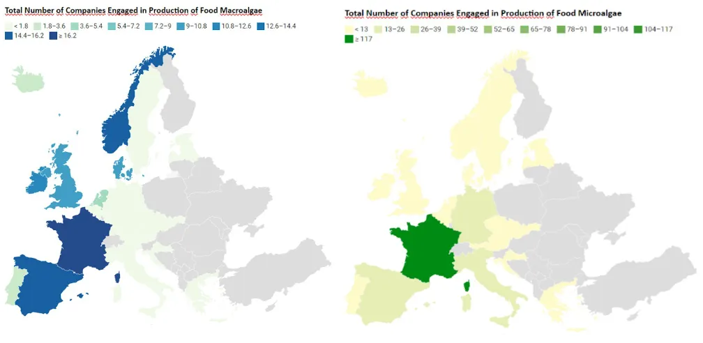Total number of companies engaged in production of algae for food