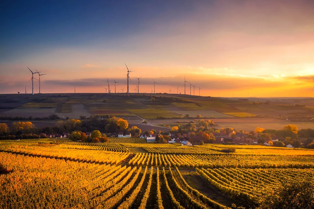 A farm at sunset with wind turbines in the background. Photo by Pixabay from Pexels