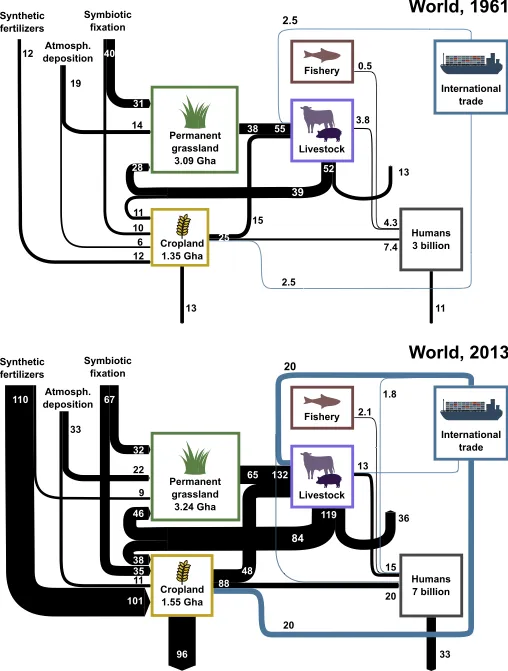 Figure 4: Nitrogen (N) flows in the global agri-food system in 1961 and 2013, following the Generalized Representation of Agri-Food Systems [6,7]. The width of arrows correspond to the size of annual flows. Numbers are in million metric tonnes per year (Mt N/year). Arrows pointing out from agricultural land, livestock, and human population represent N losses including dinitrogen (N2). Diagram adapted from [7] in collaboration with Luis Lassaletta.